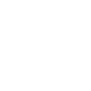 shopping bag 1