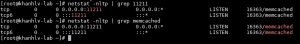 huong dan cai dat memcached tren directadmin 5123 2