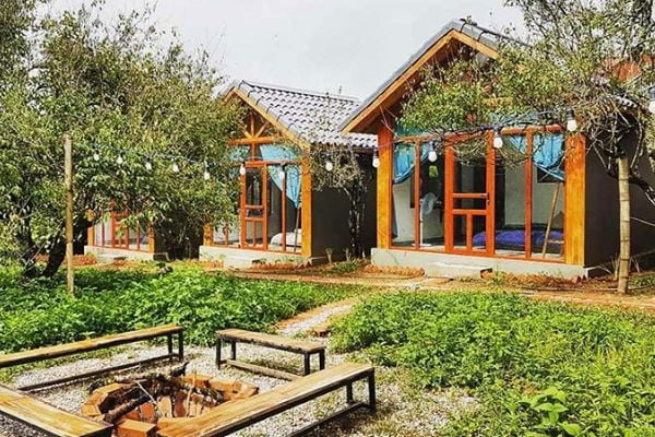 Ý tưởng khởi nghiệp mới