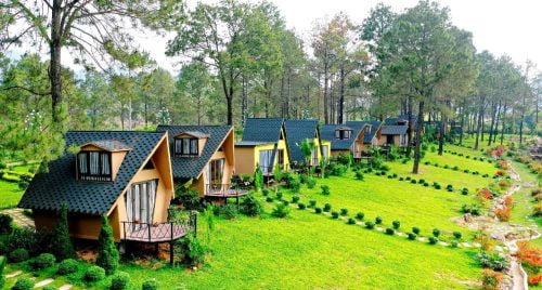 thiet ke khu nghi duong homestay la gi