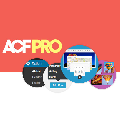 Advanced Custom Fields (ACF) Pro | Custom Web Theo Ý Muốn